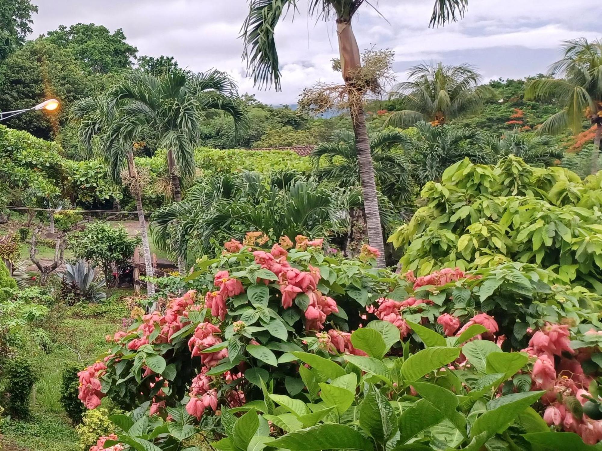 Finca Magdalena Eco Lodge Balgue Quarto foto
